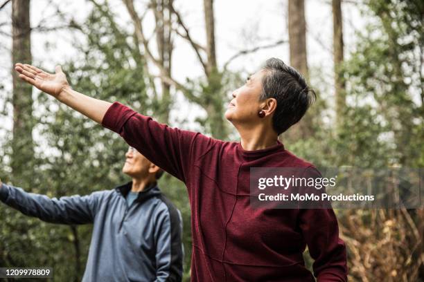 senior couple doing tai chi outdoors - woman and tai chi stock pictures, royalty-free photos & images