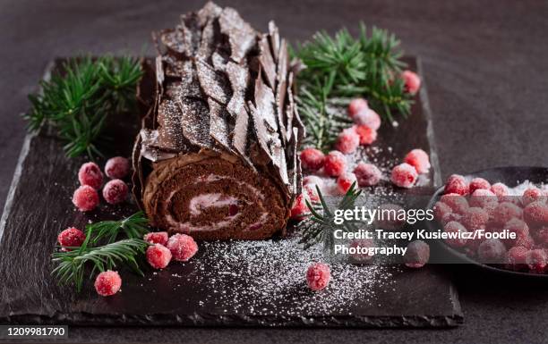chocolate cranberry holiday yule log - efterrätt bildbanksfoton och bilder