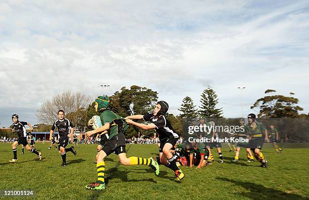 Oc Rugby Jr 37 Junior Rugby Union In Sydney Stock Photos, High-Res Pictures, and ...