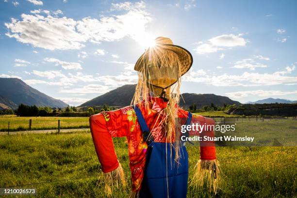 scenes around queenstown - otago farmland stock pictures, royalty-free photos & images