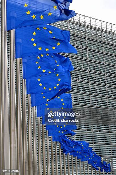 european union flags on poles at eu headquarters, brussels - eec headquarters stock pictures, royalty-free photos & images