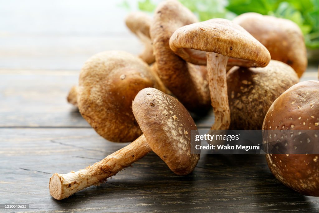 Shiitake mushroom on wooden table