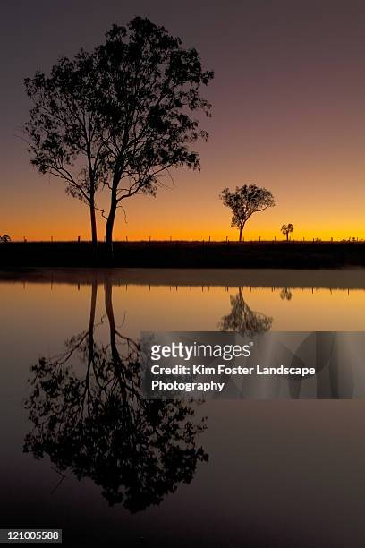 rural reflections - ipswich queensland stock pictures, royalty-free photos & images