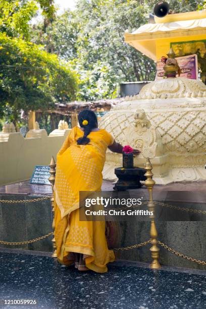 68 Thimmamma Marrimanu Stock Photos, HighRes Pictures, and Images