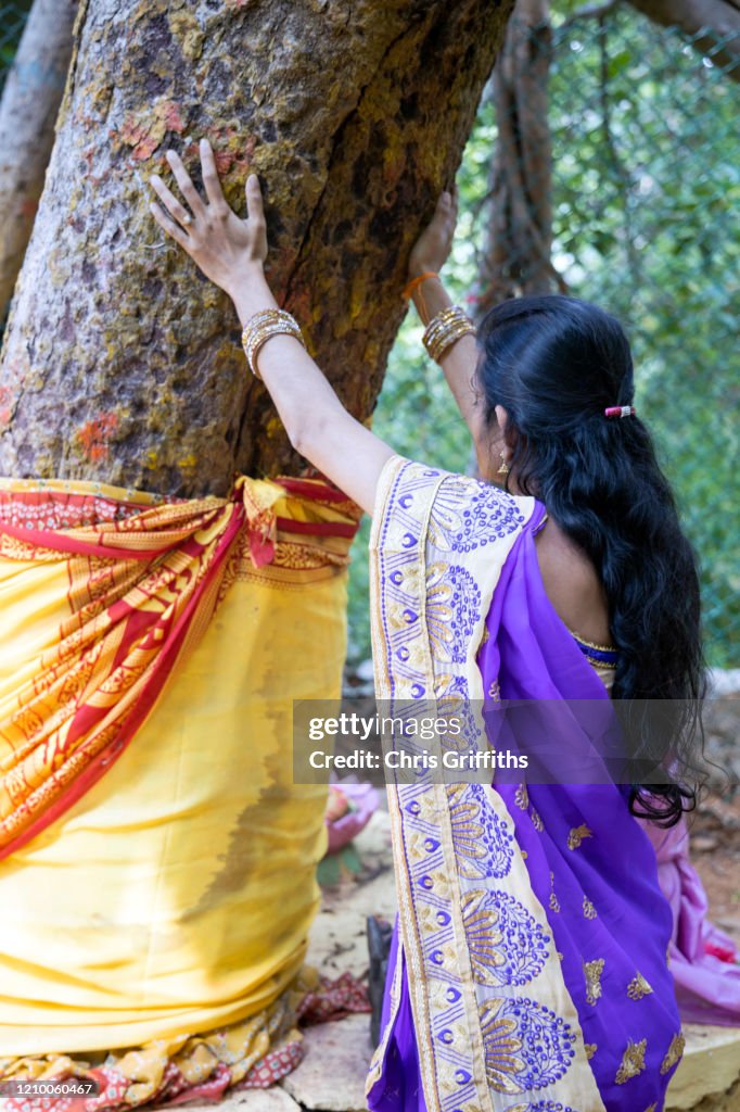 Thimmamma Marrimanu, Andhra Pradesh, India