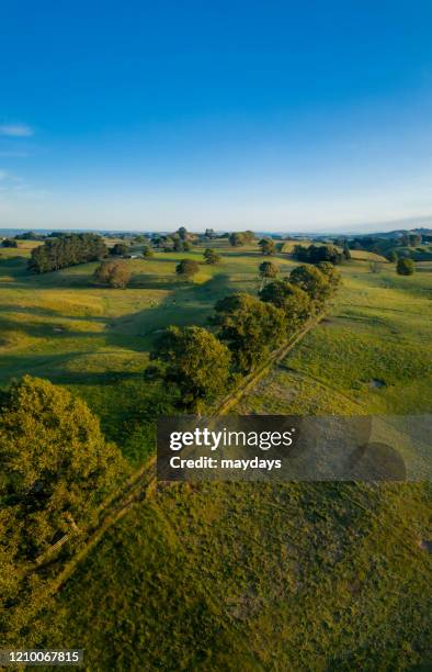 matamata, new zealand - matamata stock pictures, royalty-free photos & images