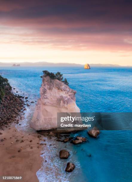 cathedral cove, new zealand - cathedral cove imagens e fotografias de stock