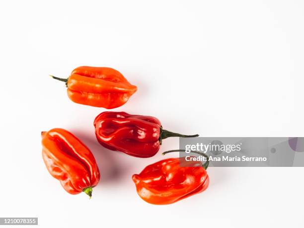 spicy peppers against white background - gelbe paprika stock-fotos und bilder