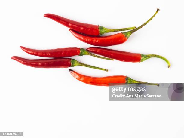 spicy peppers against white background - red bell pepper stock pictures, royalty-free photos & images