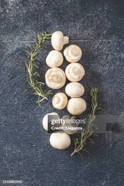 mushrooms and rosemary - cooked mushrooms stock pictures, royalty-free photos & images