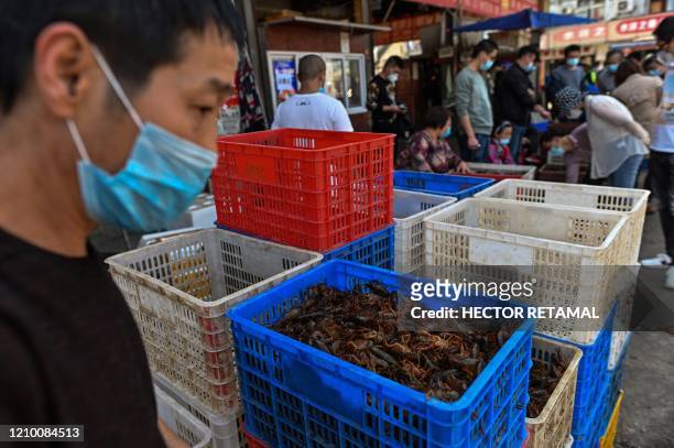 This photo taken on April 15, 2020 shows s basket of prawns at a shop at the Wuhan Baishazhou Market in Wuhan in China's central Hubei province. -...