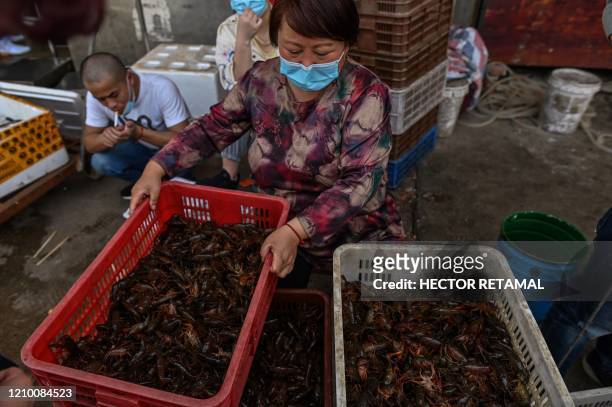 This photo taken on April 15, 2020 shows a woman wearing a face mask as she offers prawns for sale at the Wuhan Baishazhou Market in Wuhan in China's...