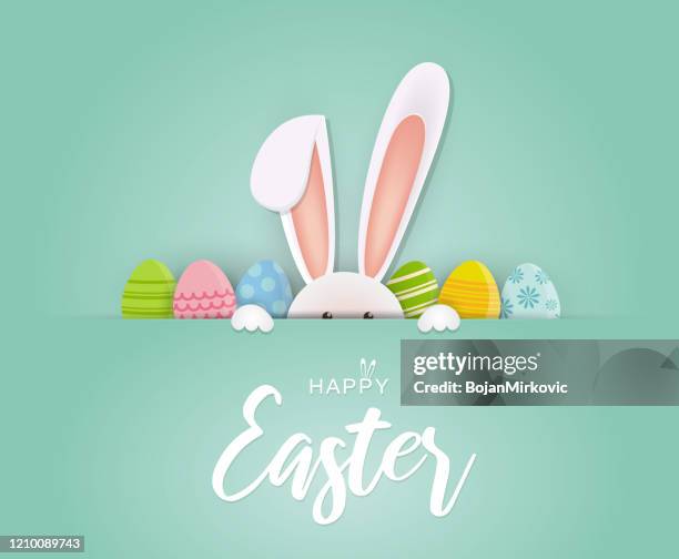 ilustraciones, imágenes clip art, dibujos animados e iconos de stock de tarjeta de pascua con conejo y huevos. vector - huevo de pascua