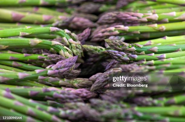 Asparagus spears sit in a tray in the packing house at a farm in Minster near Ramsgate, U.K., on Wednesday, April 15, 2020. Almost all of Britain's...