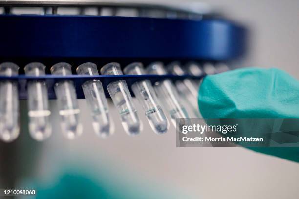 The holding of a centrifuge with throat swab samples for Covid-19 testing are seen at the Labor Dr. Heidrich & Kollegen MVZ GmbH medical lab on April...