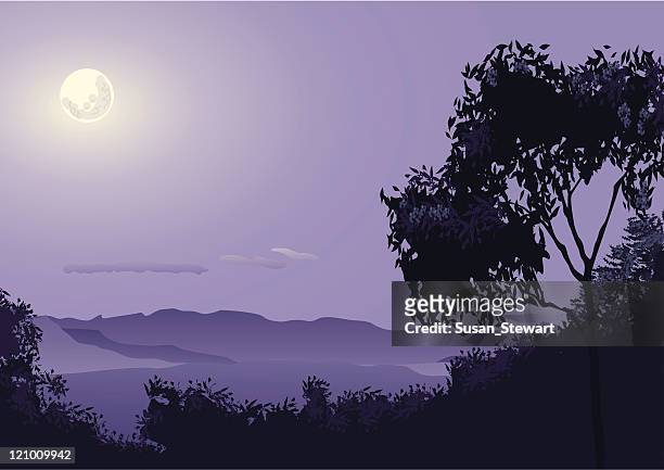 moon over the lost world - bush stock illustrations