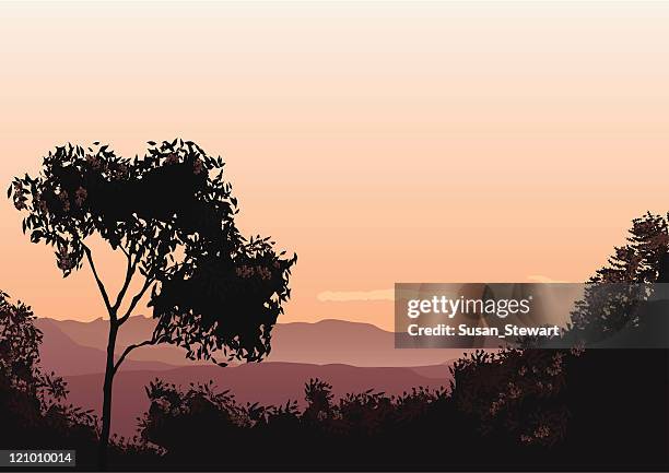 sunset over the lost world - bushes stock illustrations
