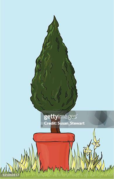coniferous topiary tree - topiary stock illustrations