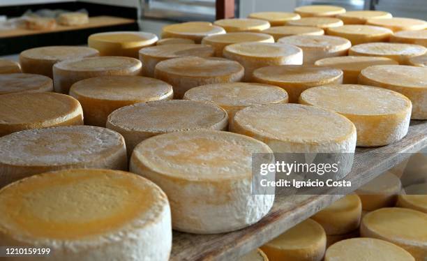 raw cheese canastra cheese - käse stock-fotos und bilder