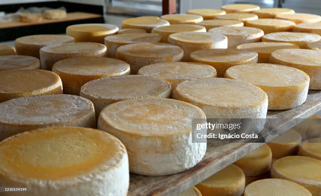 Raw Cheese Canastra Cheese