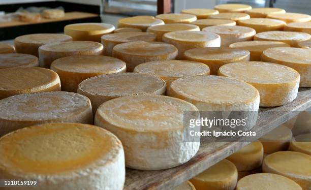 raw cheese canastra cheese - minas gerais state stock pictures, royalty-free photos & images