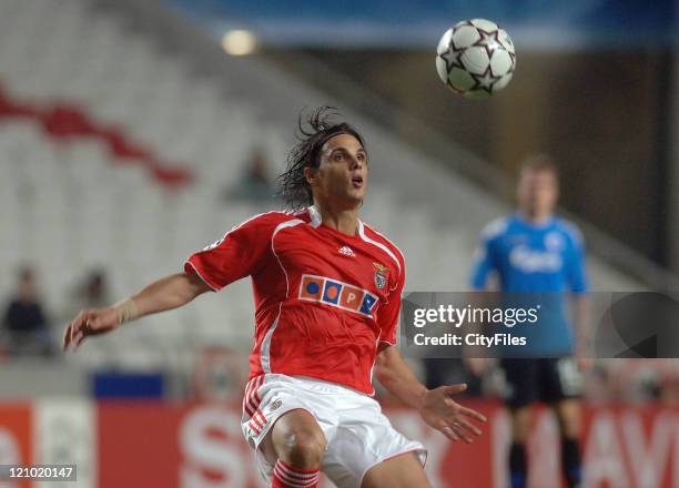 Nuno Gomes of Benfica during the UEFA Champions Leage, Group F SL Benfica vs FC Copenhagen at Luz Stadium in Lisbon, Portugal on November 21, 2006