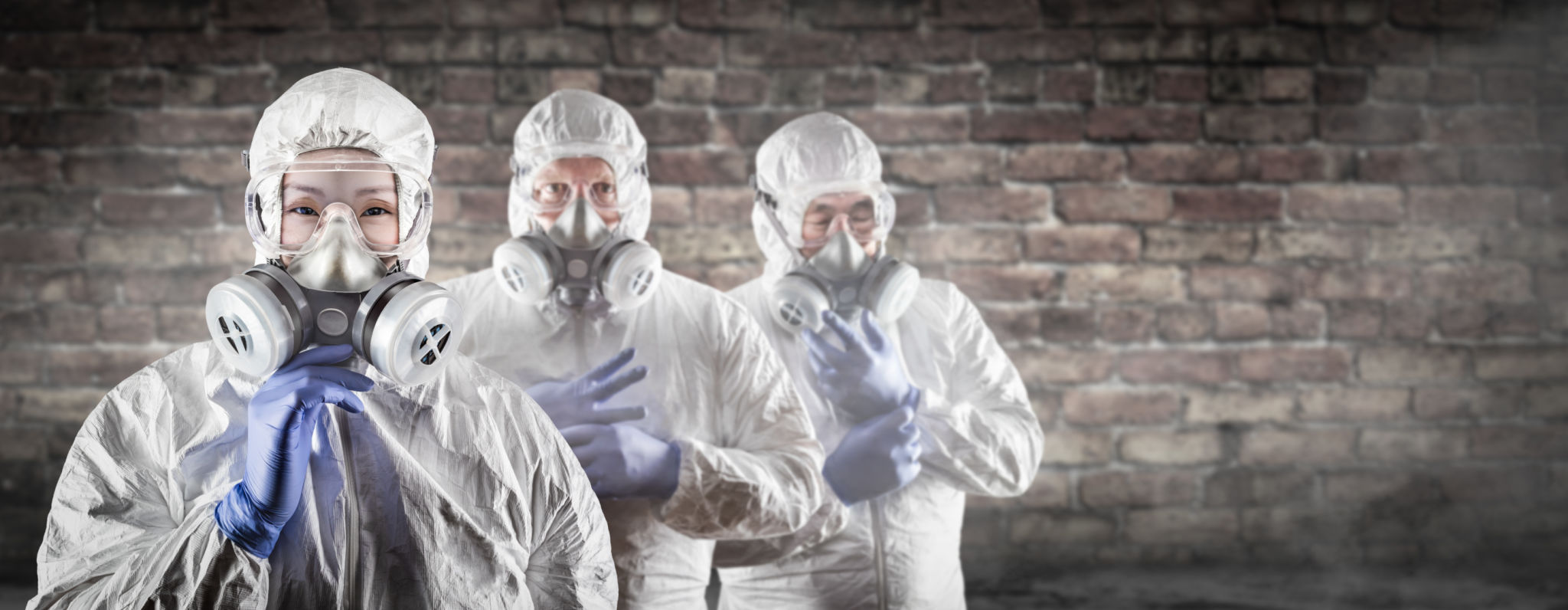 mold remediation team