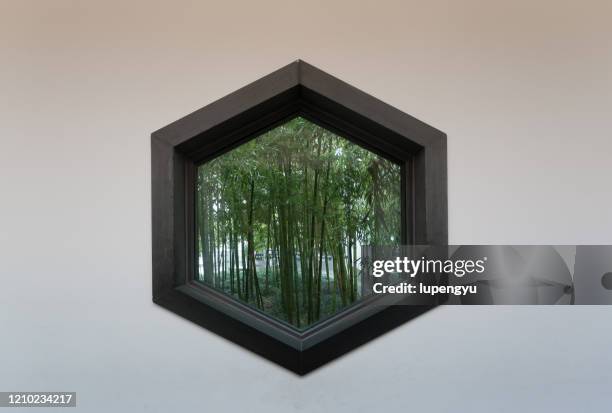 Hexagonal Sun Window Hexagon Window Photos and Premium High Res Pictures - Getty Images