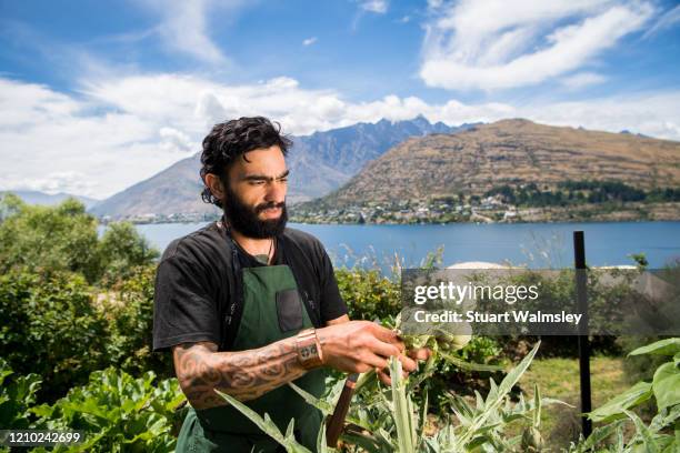 chef in garden - maori stock-fotos und bilder