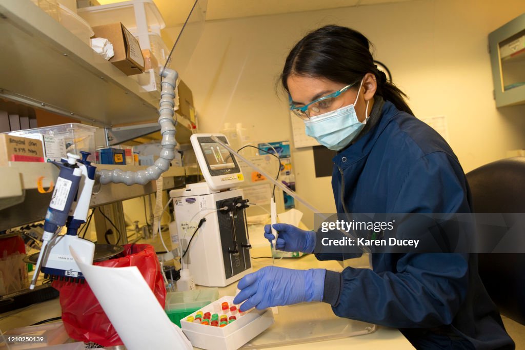 University Of Washington Medicine Tests Blood Of Recovered COVID-19 Patients For Antibodies