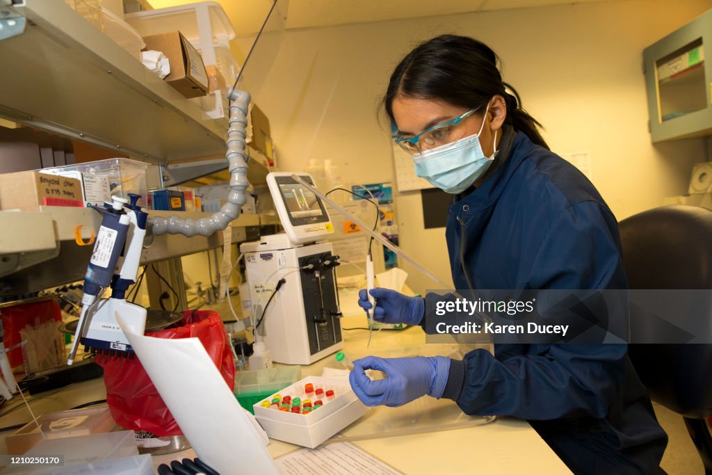 University Of Washington Medicine Tests Blood Of Recovered COVID-19 Patients For Antibodies