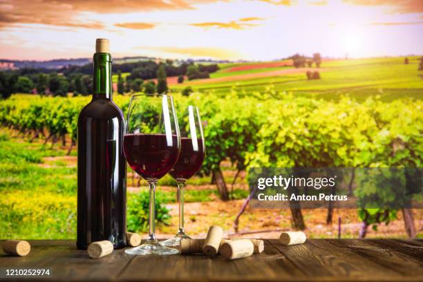 bottle of wine, glasses, cheese and grapes on the background of the vineyard at sunset. - bordeaux wine - fotografias e filmes do acervo