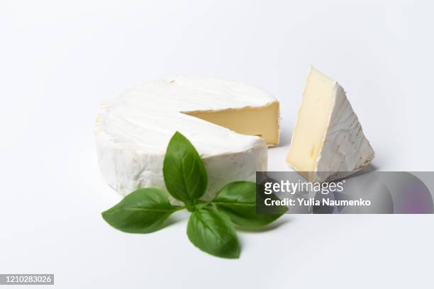 brie type of cheese, camembert cheese, fresh brie cheese. french cheese with a branch of fresh green basil on a white background. - camambert bildbanksfoton och bilder