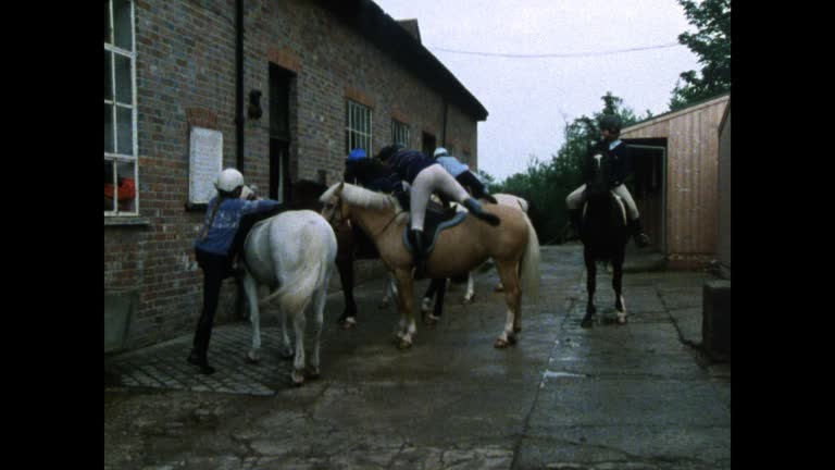 Stableyard 629 Horse Stable Uk Stock Videos, Footage, & 4K Video Clips - Getty Images