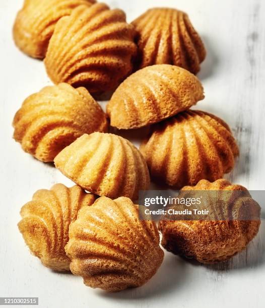 madeleines on white background - madeleine sponge cake stock pictures, royalty-free photos & images