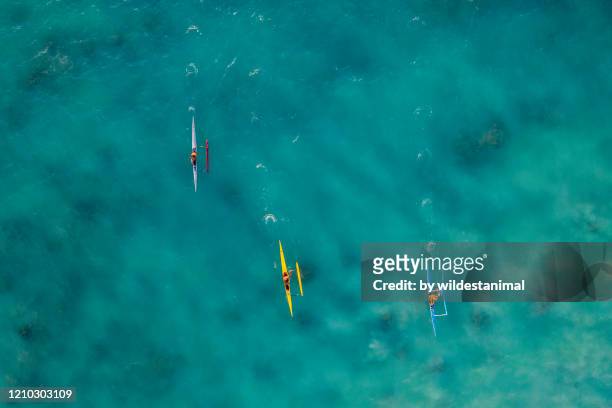 aerial view of outrigger canoes racing off the coast of hawaii's big island near the waikoloa area. - outrigger stock pictures, royalty-free photos & images