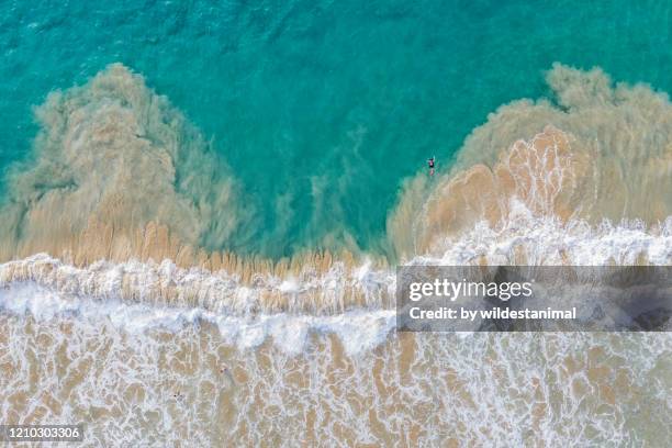 aerial view of  a surfer body boarding in rough surf, the big island, hawaii. - surfing big island hawaii stockfoto's en -beelden