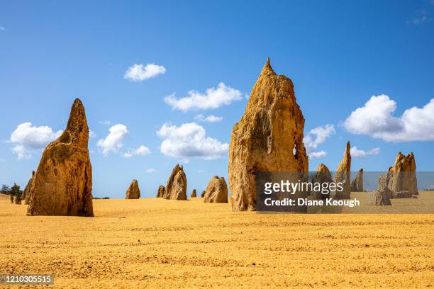 an afternoon at the pinnacles - perth landmarks stock pictures, royalty-free photos & images