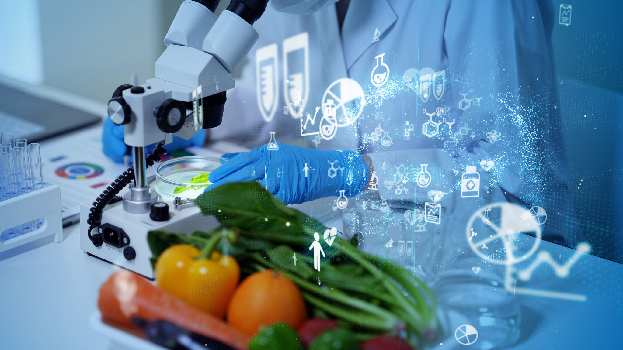 nutritional assessment