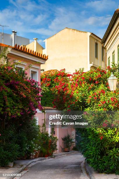 street with a lot of flowers in plaka neighbourhood of athens, greece. - plaka stock pictures, royalty-free photos & images