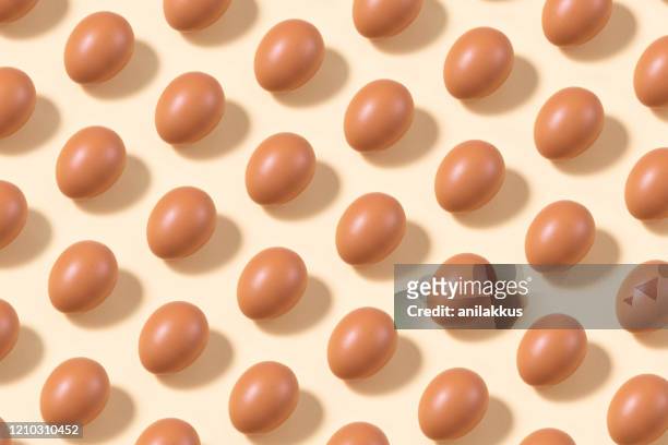 eggs in a row on yellow background - animal egg stock pictures, royalty-free photos & images