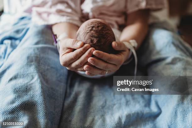 macro view of mothers hands holding newborn boy's head - born stockfoto's en -beelden