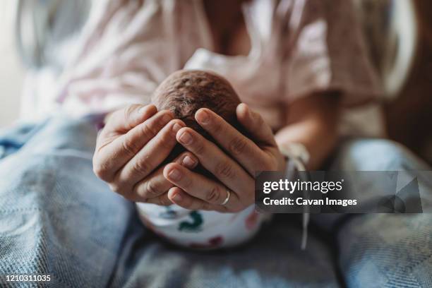 macro view of mothers hands holding newborn boy's head - emotionale momente geburt stock-fotos und bilder