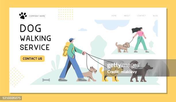 ilustraciones, imágenes clip art, dibujos animados e iconos de stock de servicio de paseo para perros - correa