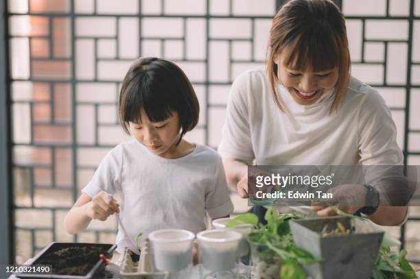 an asian chinese mother tending plant at her house with her daughter bonding time during weekend leisure