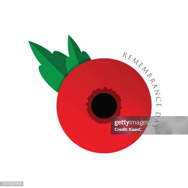 bildbanksillustrationer, clip art samt tecknat material och ikoner med remembrance day vektorkort, banner anzac day. lager illustration - poppy plant