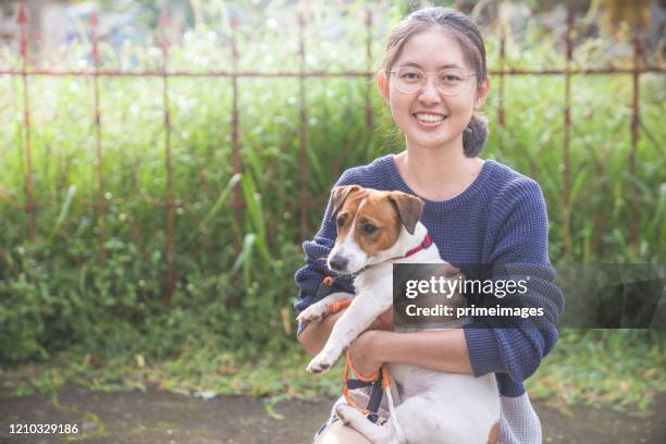 an asian chinese teenager girl bonding time with her pet jack russel in the public park - terrier stock pictures, royalty-free photos & images
