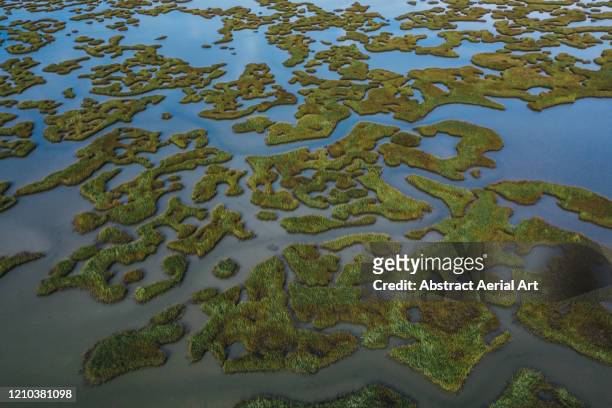 drone shot of galveston marshland, texas, united states of america - marisma fotografías e imágenes de stock