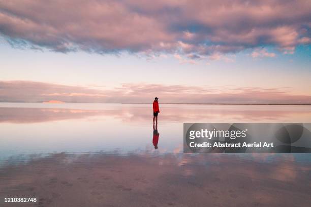 one person standing on the flooded bonneville salt flats, utah, united states of america - imponente fotografías e imágenes de stock