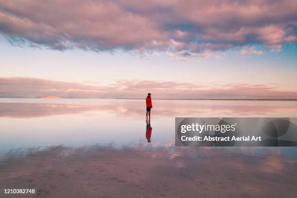 one person standing on the flooded bonneville salt flats, utah, united states of america - alone bildbanksfoton och bilder